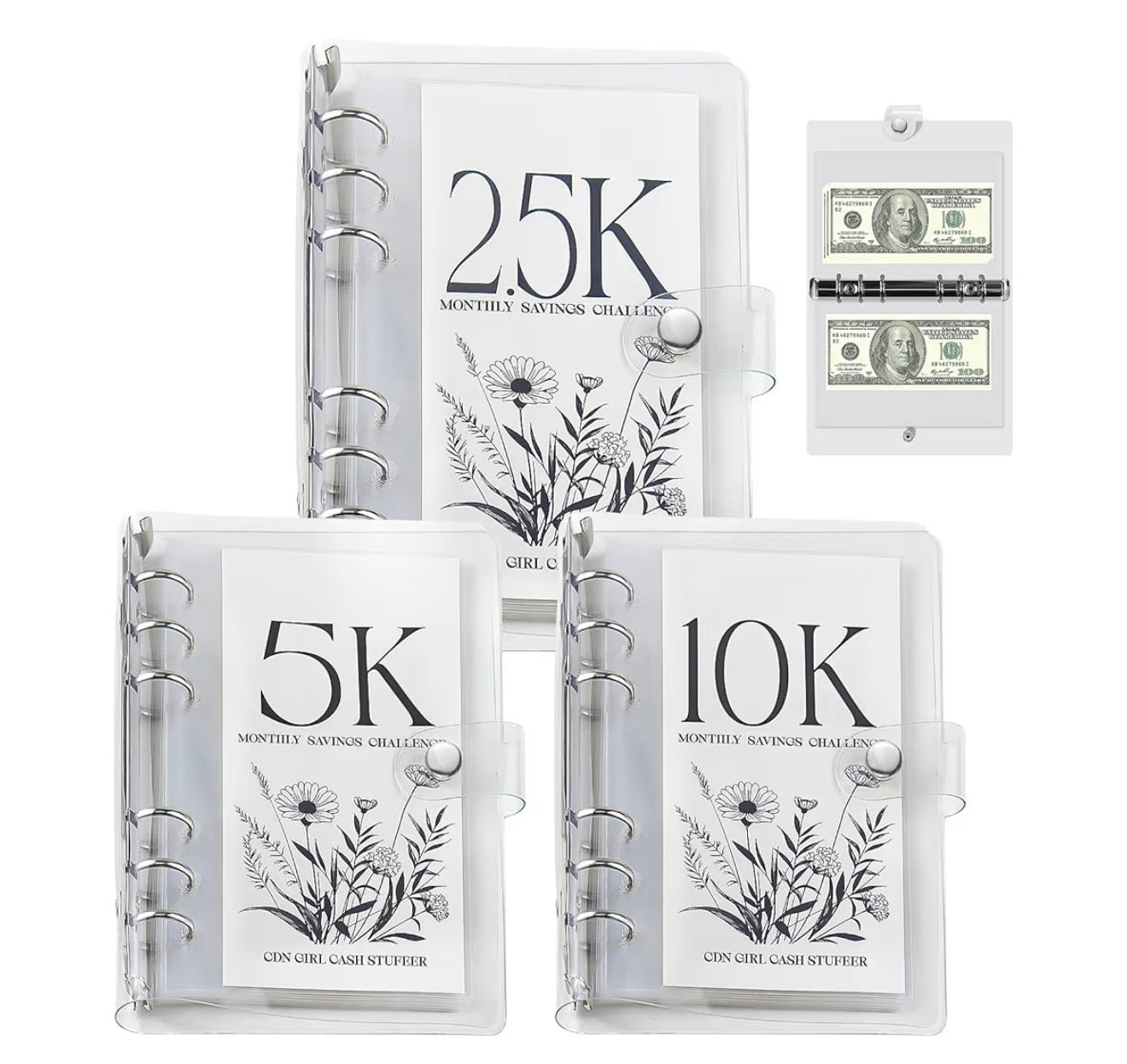 3 pack savings challange book